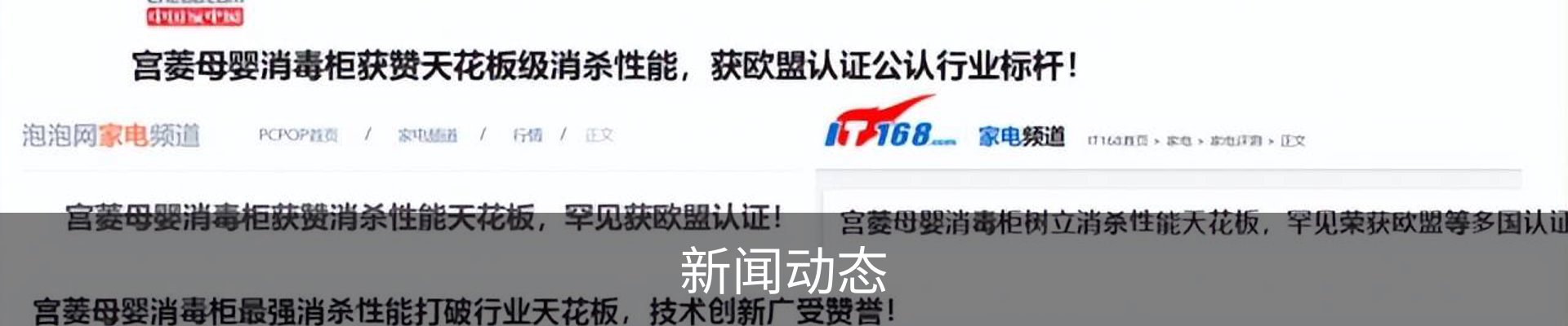 新闻动态